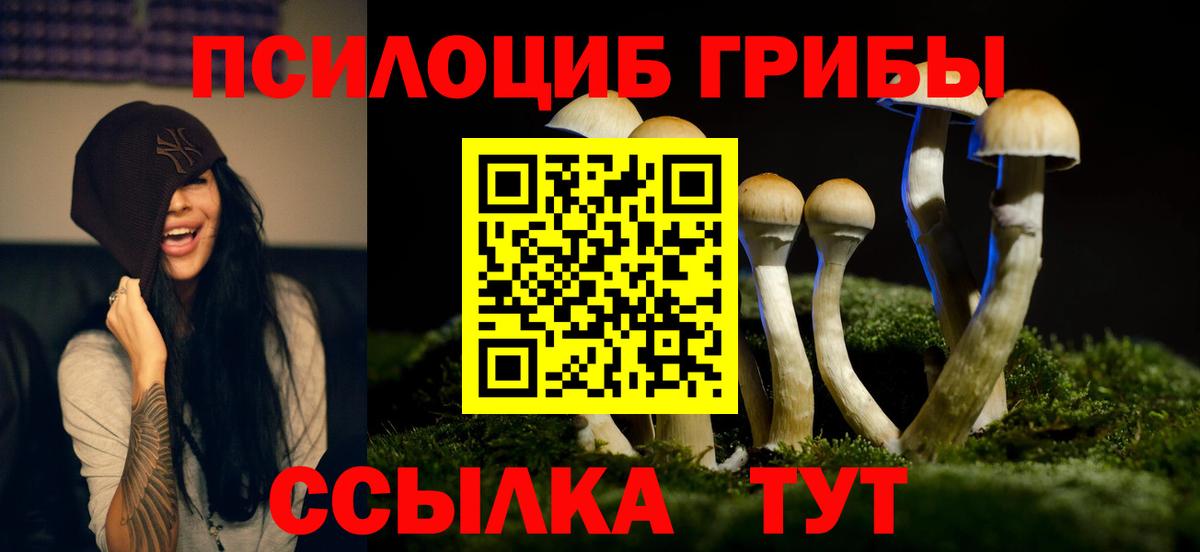 Новоалександровск  Псилоцибиновые грибы Psilocybe  Псилоцибиновые грибы прущие грибы  Вход с VPN 